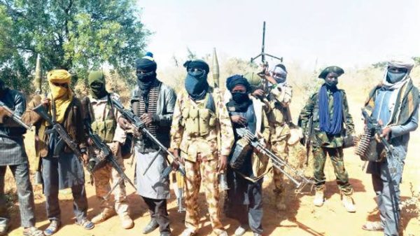 FG Declares Bandits As Terrorists