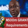 CBN N500M Grant 2023 Requirements, Application