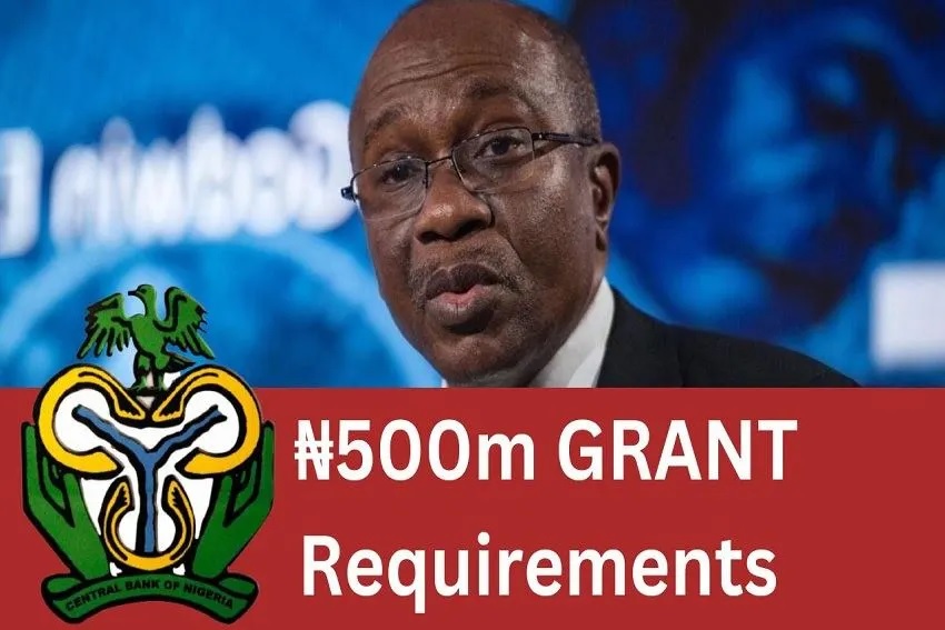 CBN N500M Grant 2023 Requirements, Application